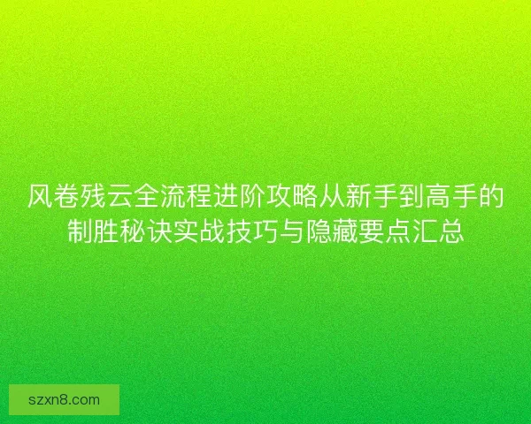风卷残云全流程进阶攻略从新手到高手的制胜秘诀实战技巧与隐藏要点汇总